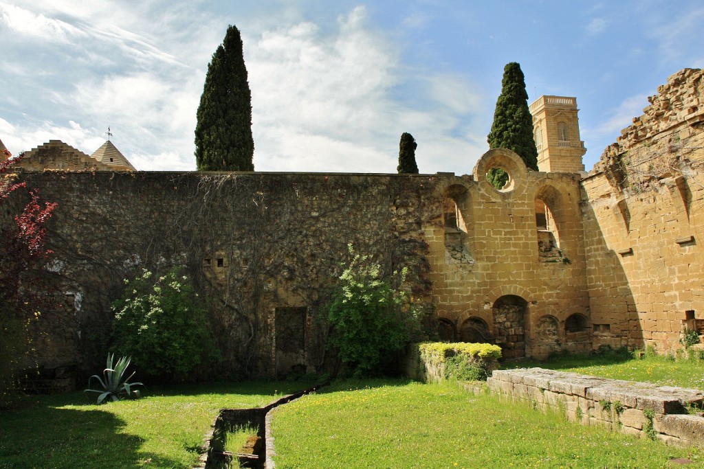 Foto: Monasterio de la Oliva - Carcastillo (Navarra), España