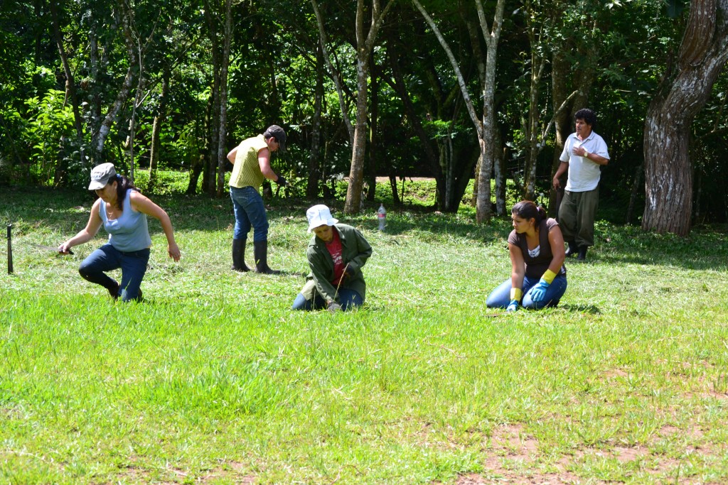 Foto: PARQUE - San Ignacio De Acosta (San José), Costa Rica