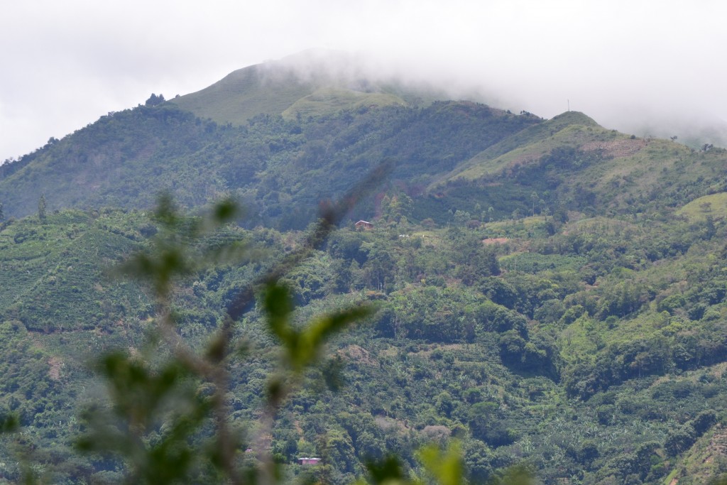 Foto: SAN IGNACIO - San Ignacio De Acosta (San José), Costa Rica