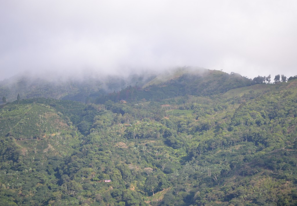 Foto: SAN IGNACIO - San Ignacio De Acosta (San José), Costa Rica