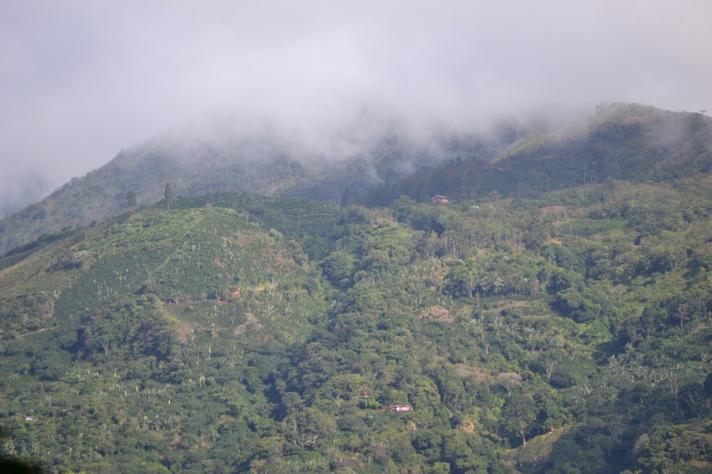 Foto de San Ignacio De Acosta (San José), Costa Rica