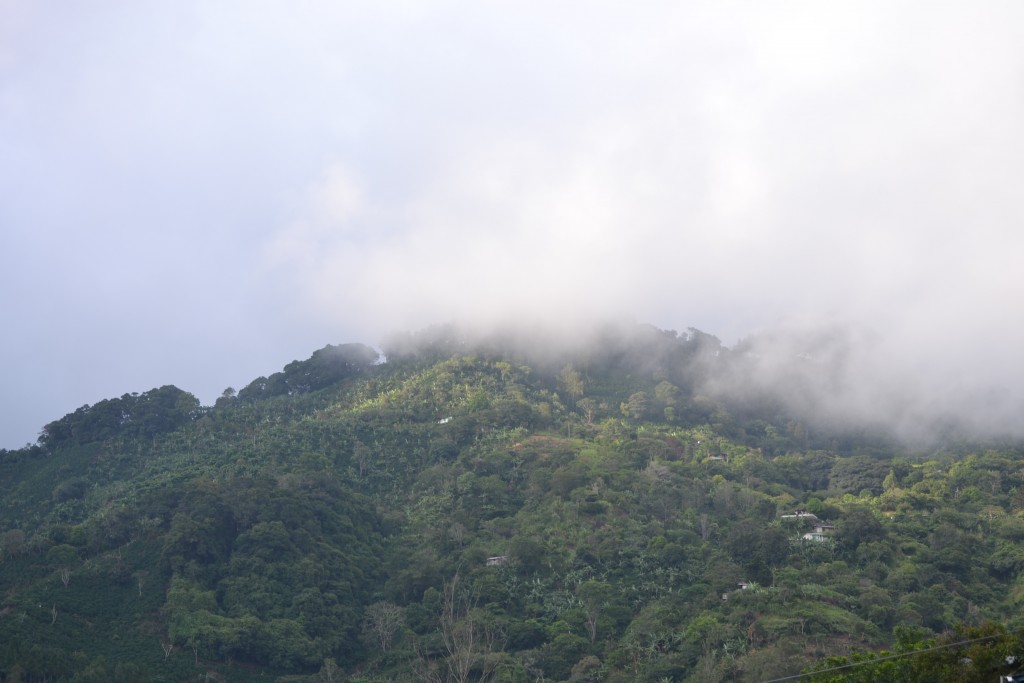 Foto de San Ignacio De Acosta (San José), Costa Rica