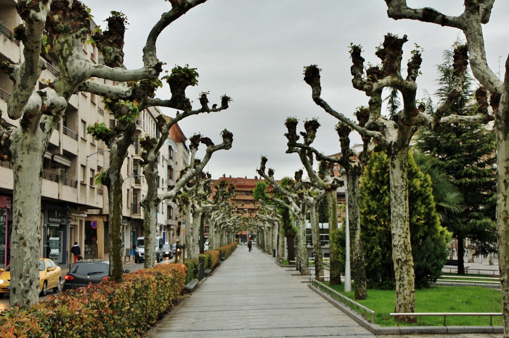 Foto: Paseo del Mercadal - Calahorra (La Rioja), España