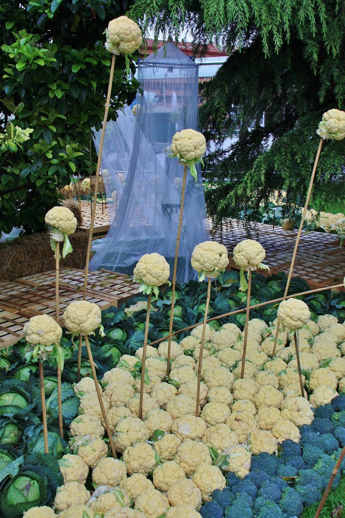 Foto: Paseo del Mercadal - Calahorra (La Rioja), España