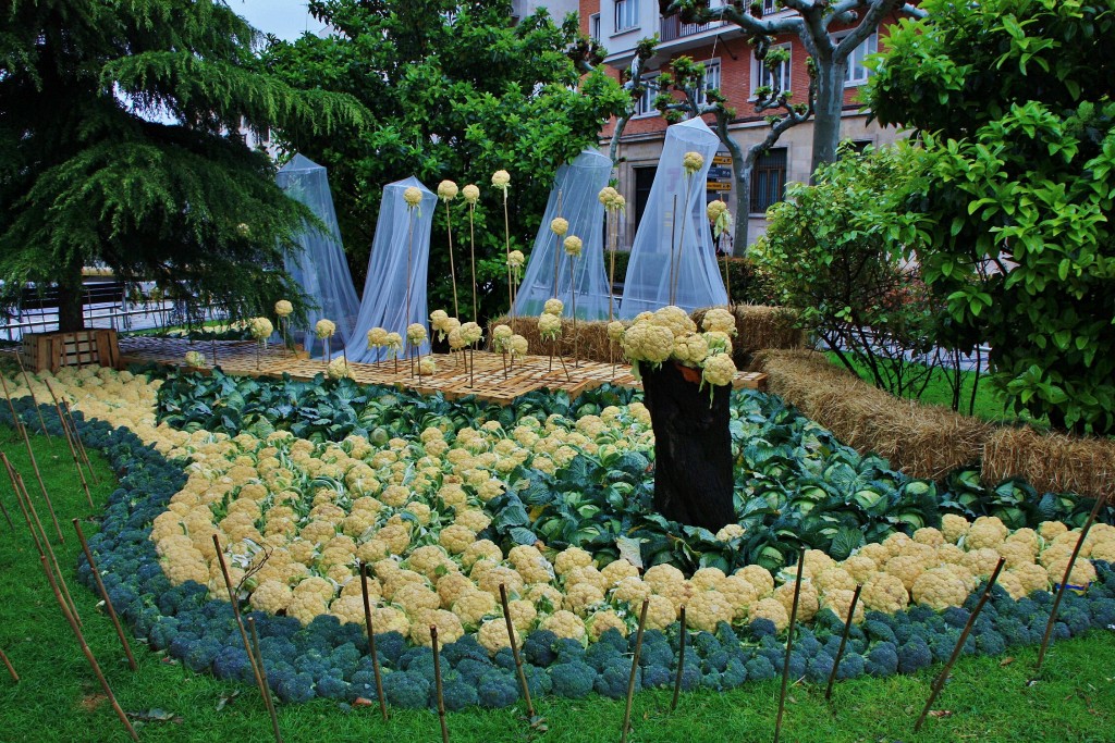 Foto: Paseo del Mercadal - Calahorra (La Rioja), España
