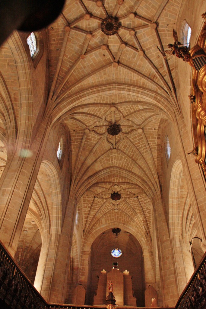 Foto: Catedral - Calahorra (La Rioja), España