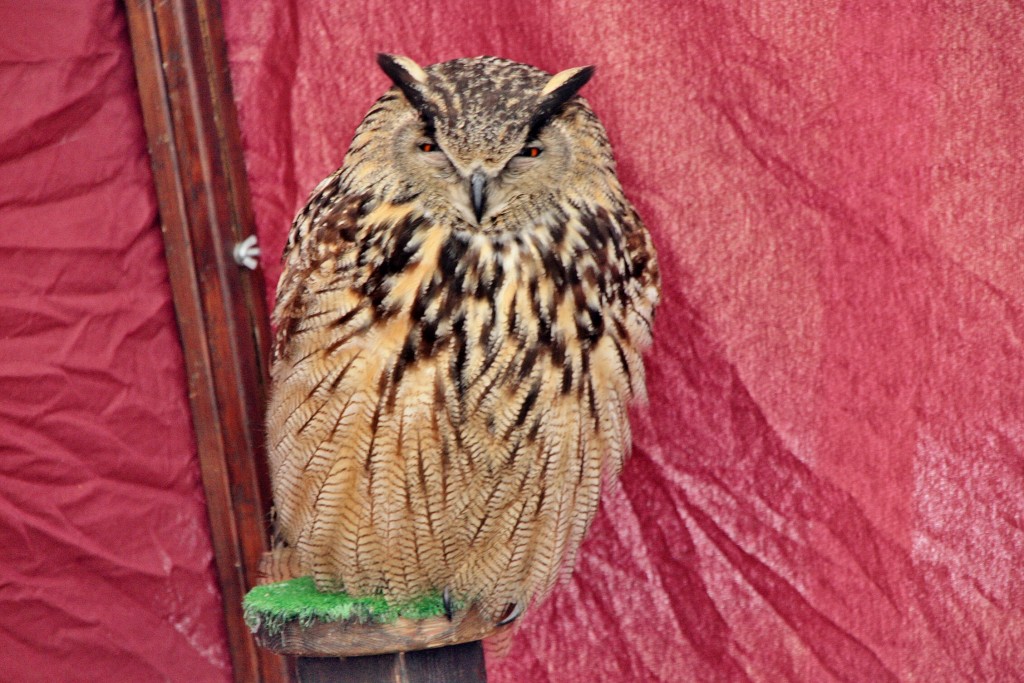 Foto: Mercado medieval - Nájera (La Rioja), España