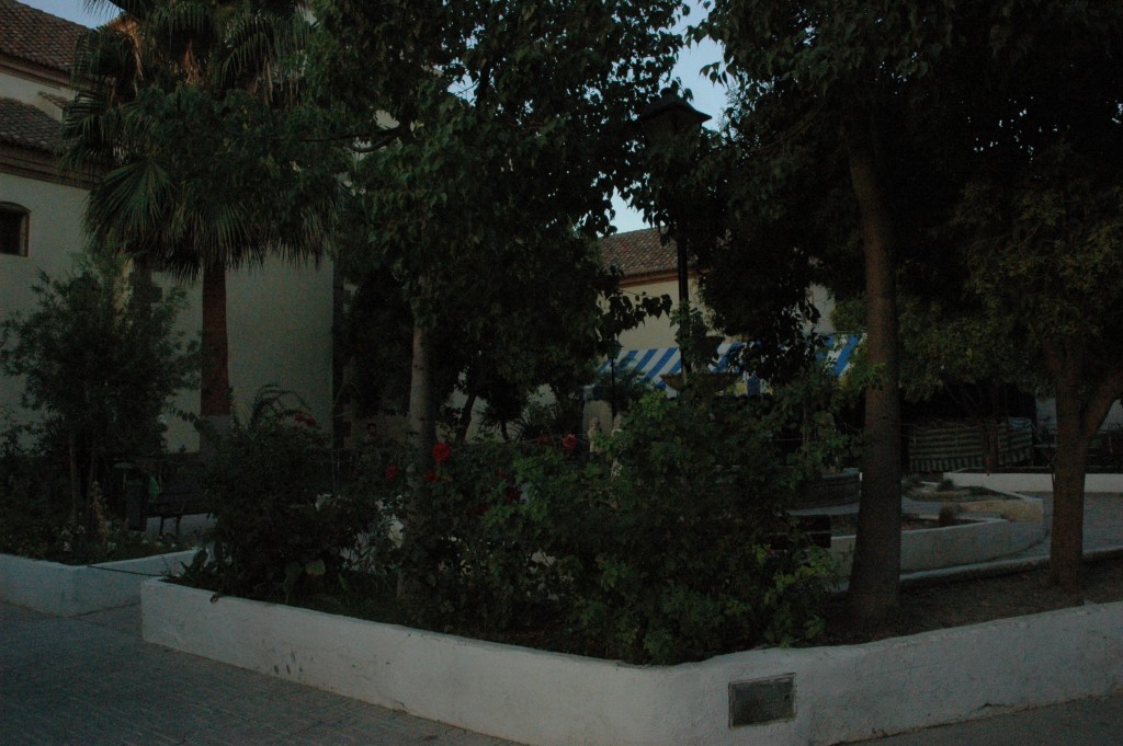 Foto: FIESTAS DE SANTA ROSA - Alcolea (Almería), España