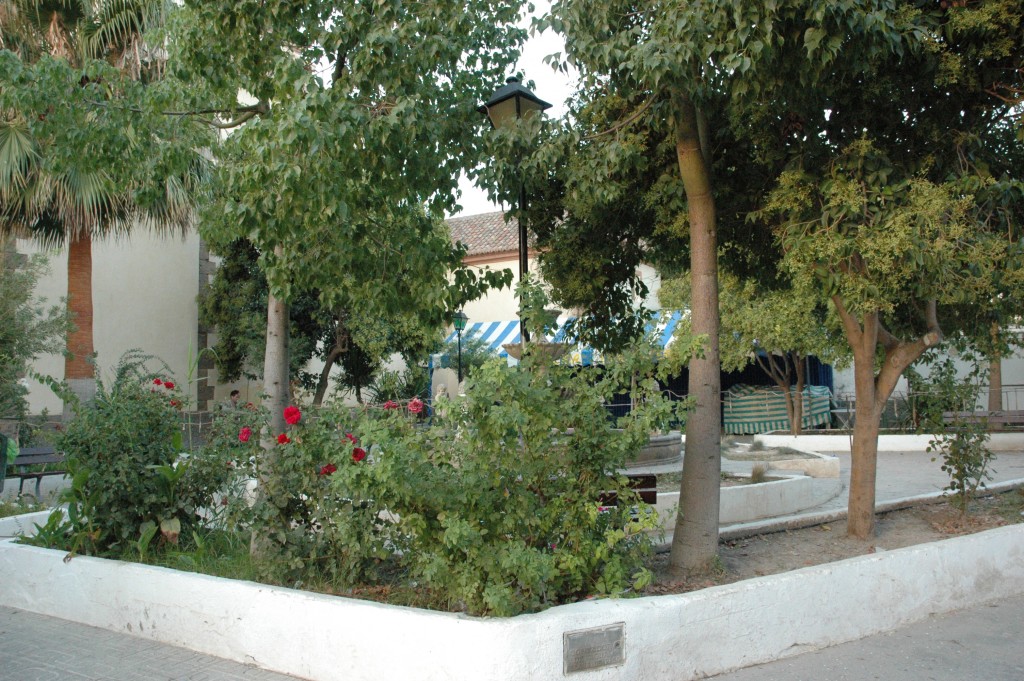 Foto: FIESTAS DE SANTA ROSA - Alcolea (Almería), España