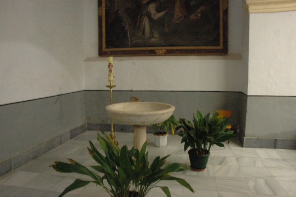 Foto: FIESTAS DE SANTA ROSA - Alcolea (Almería), España