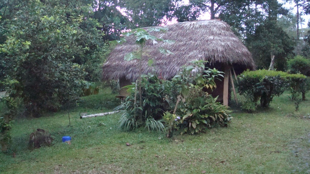 Foto: Choza tipica - Puyo (Pastaza), Ecuador