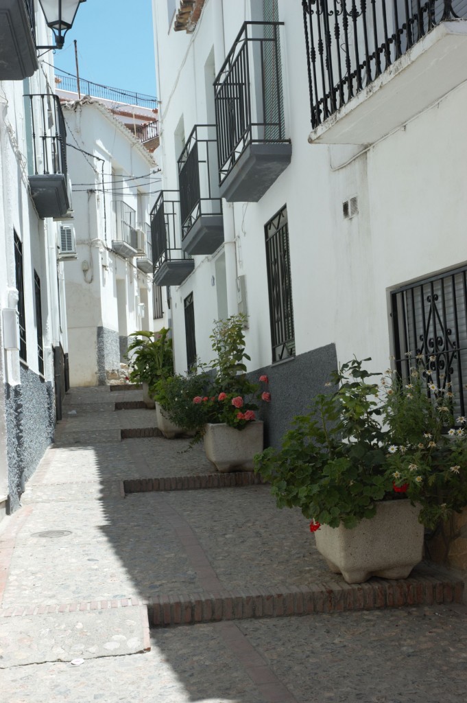 Foto: FIESTA EN ALCOLEA - Alcolea (Almería), España