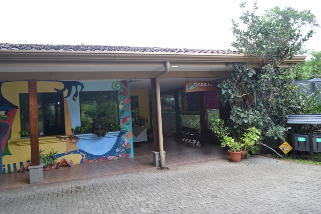 Foto: The Butterfly Farm - La Guácima (Alajuela), Costa Rica