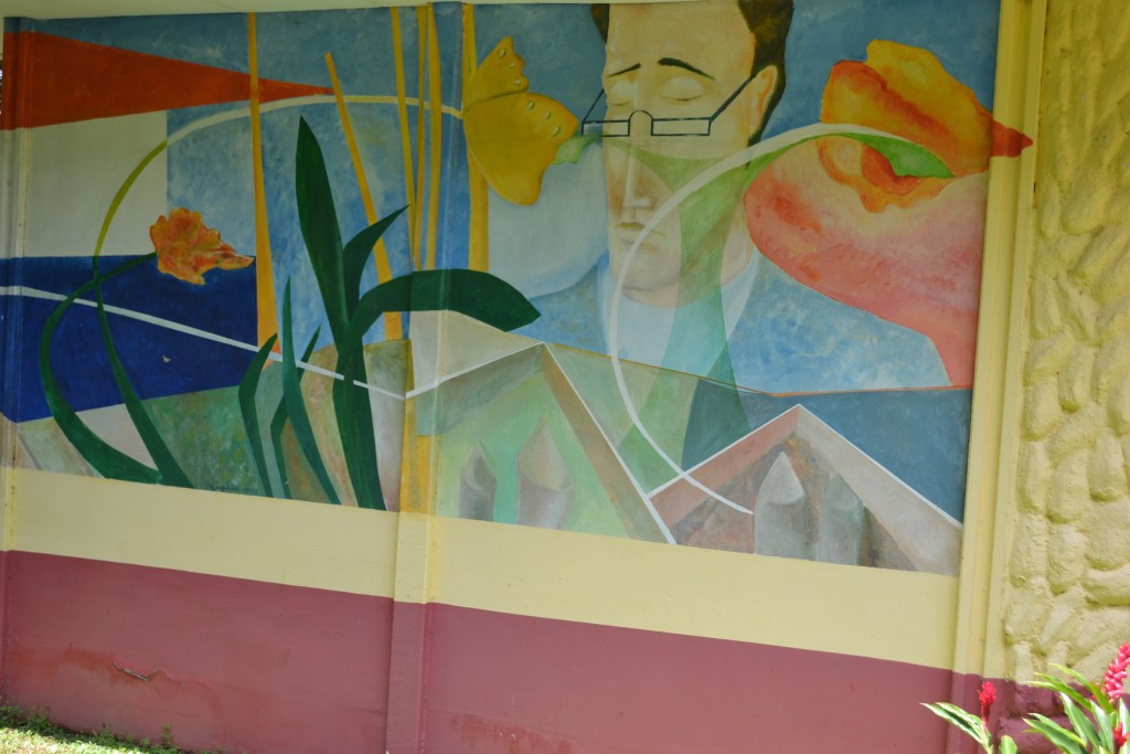 Foto: The Butterfly Farm - La Guácima (Alajuela), Costa Rica