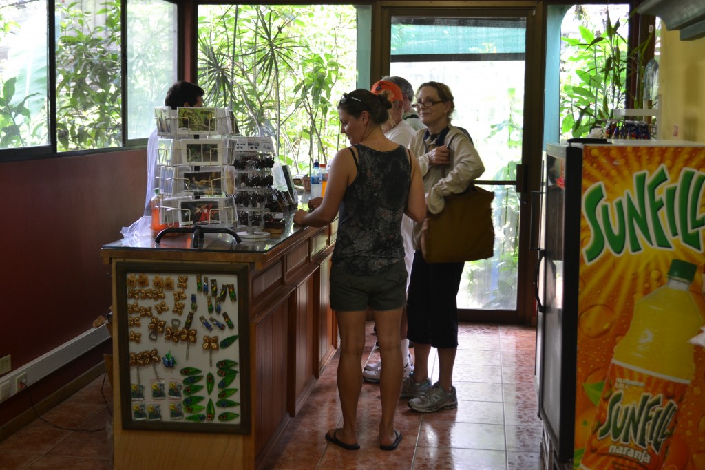 Foto: The Butterfly Farm - La Guácima (Alajuela), Costa Rica