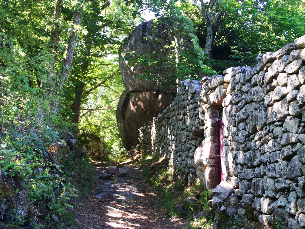 Foto: CASTRO - Santa Mariña De Las Aguas Santas (Ourense), España
