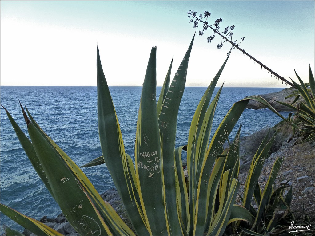 Foto: 120621-02 OROPESA DEL MAR - Oropesa Del Mar (Castelló), España