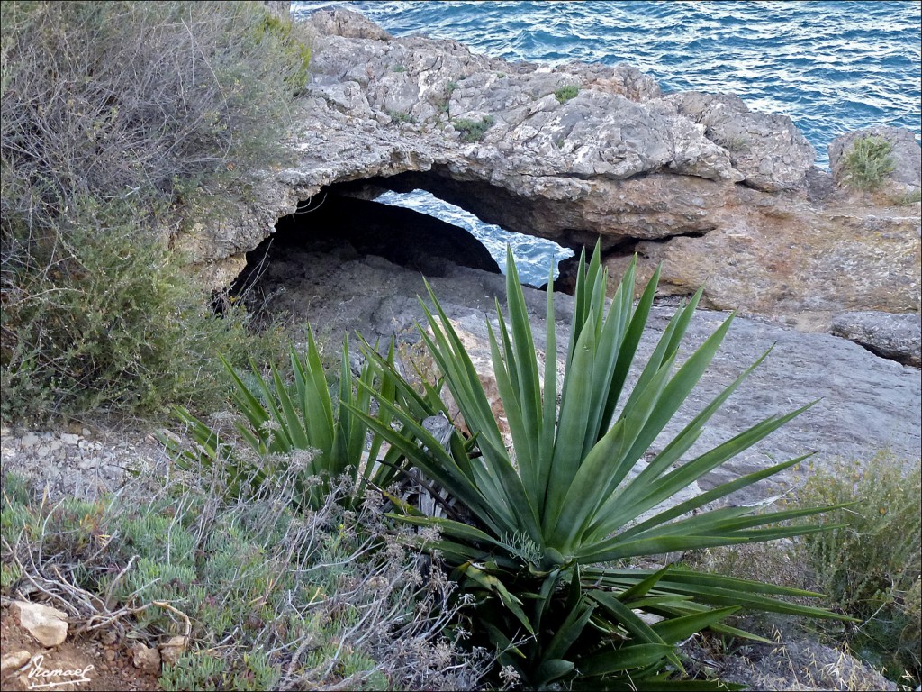 Foto: 120621-11 OROPESA DEL MAR - Oropesa Del Mar (Castelló), España