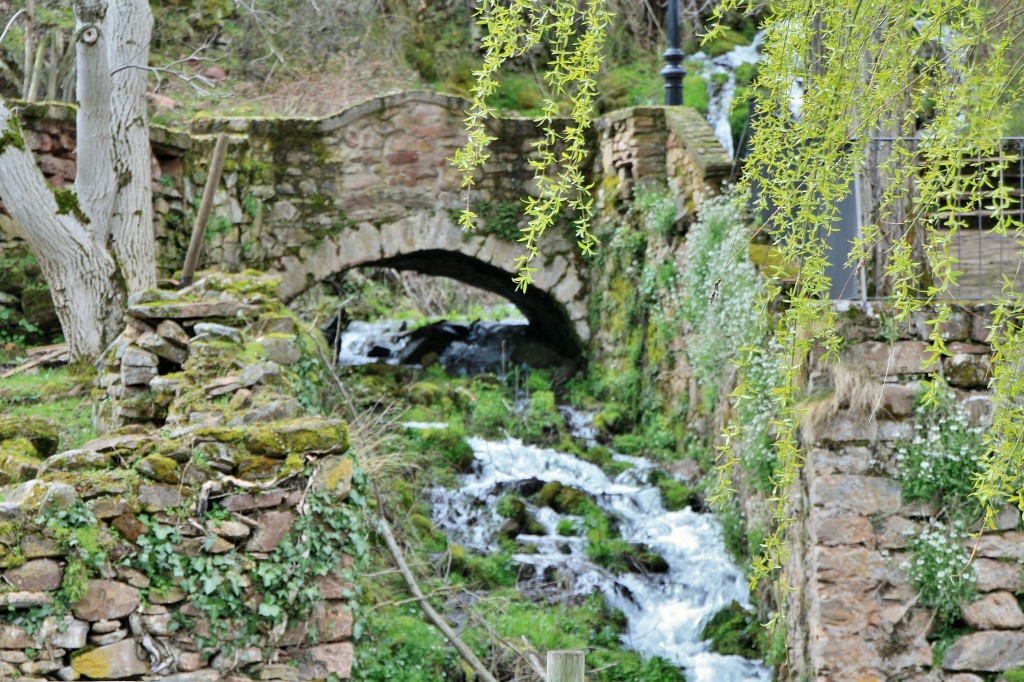 Foto: Arroyo - Viniegra de Arriba (La Rioja), España