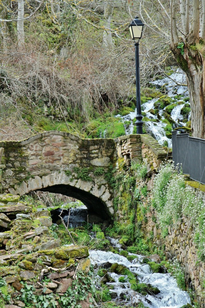 Foto: Arroyo - Viniegra de Arriba (La Rioja), España