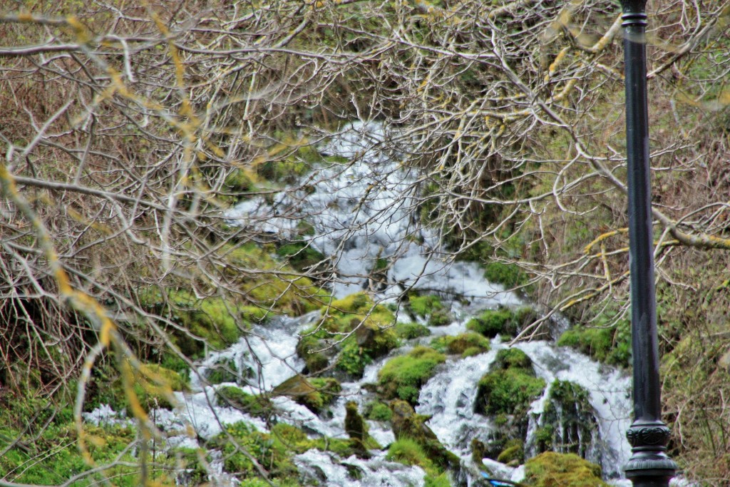 Foto: Arroyo - Viniegra de Arriba (La Rioja), España