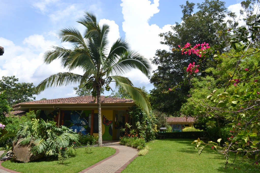 Foto: The Butterfly Farm - La Guácima (Alajuela), Costa Rica