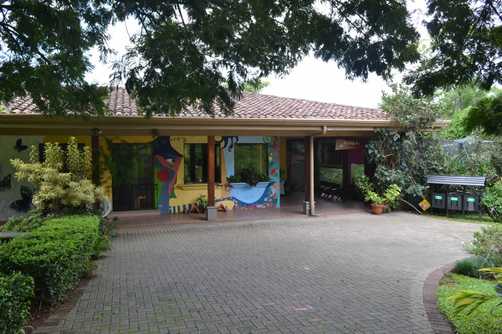 Foto: The Butterfly Farm - La Guácima (Alajuela), Costa Rica