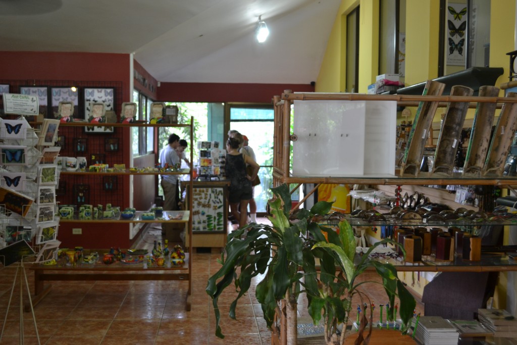 Foto: The Butterfly Farm - La Guácima (Alajuela), Costa Rica