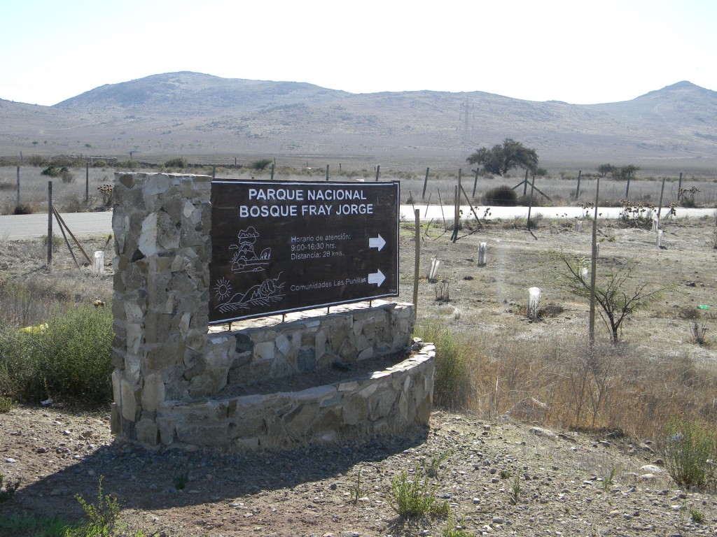 Foto: CAMINO AL PARQUE - Parque Nacional Fray Jorge (Coquimbo), Chile