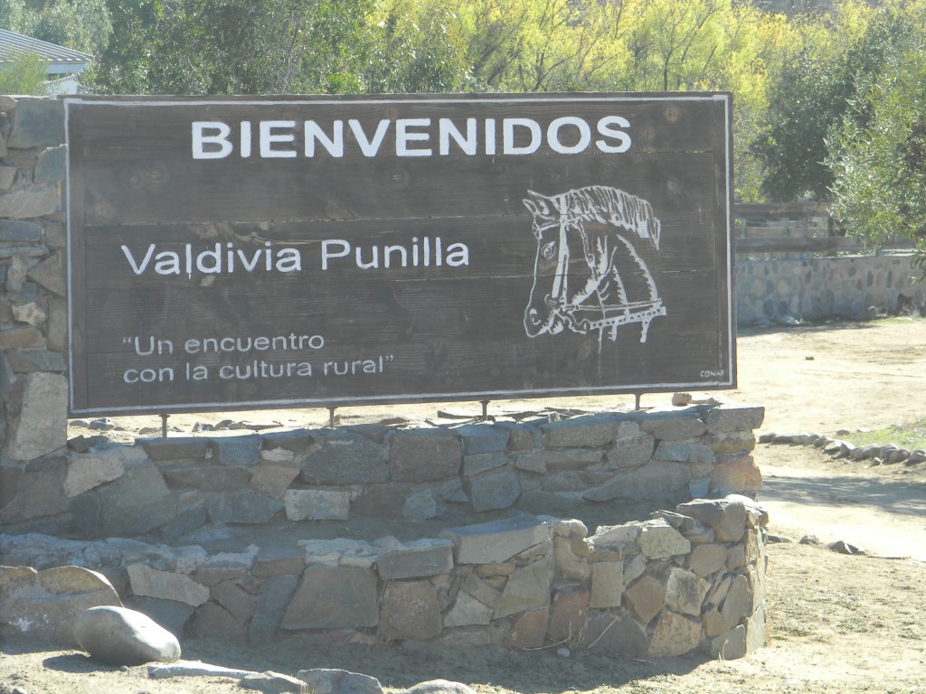 Foto: CAMINO AL PARQUE - Punilla (Coquimbo), Chile