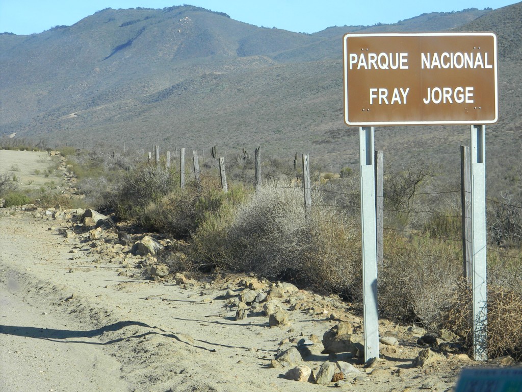 Foto: CAMINO AL PARQUE - Parque Nacional Fray Jorge (Coquimbo), Chile
