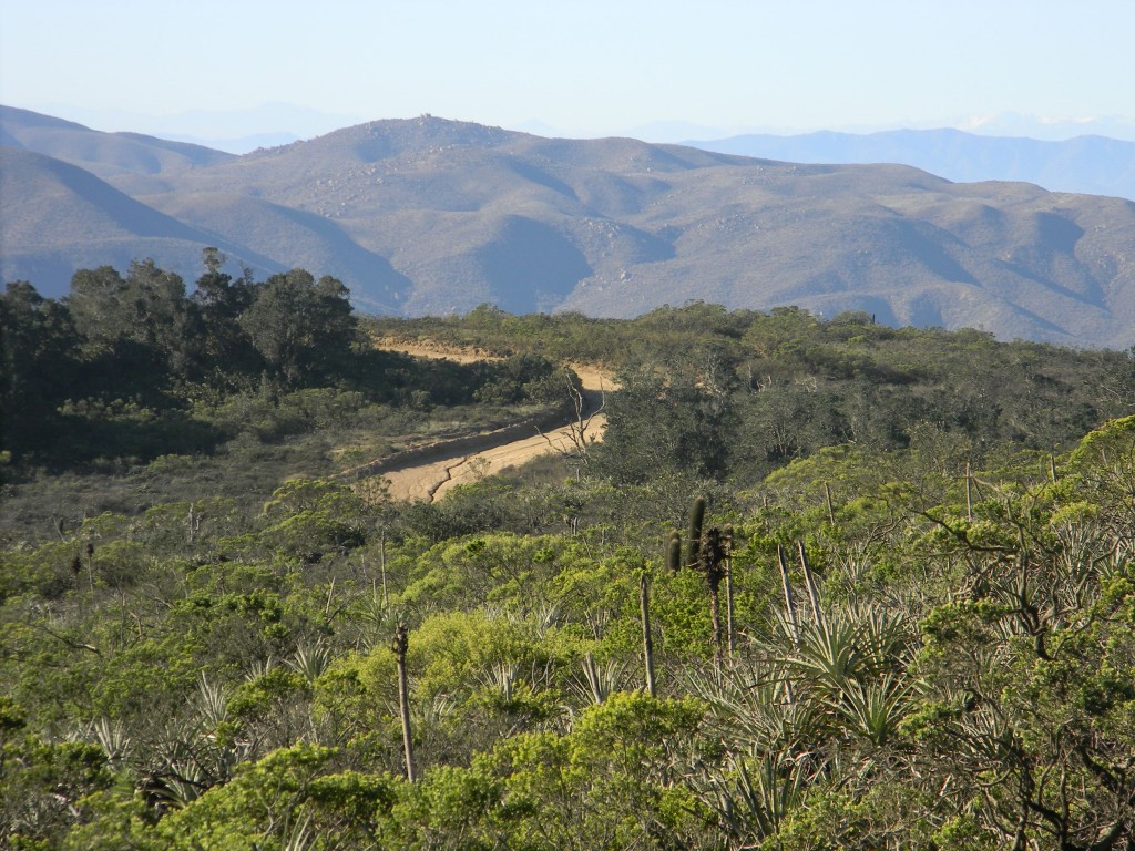Foto: PANORAMICA - Parque Nacional Fray Jorge (Coquimbo), Chile