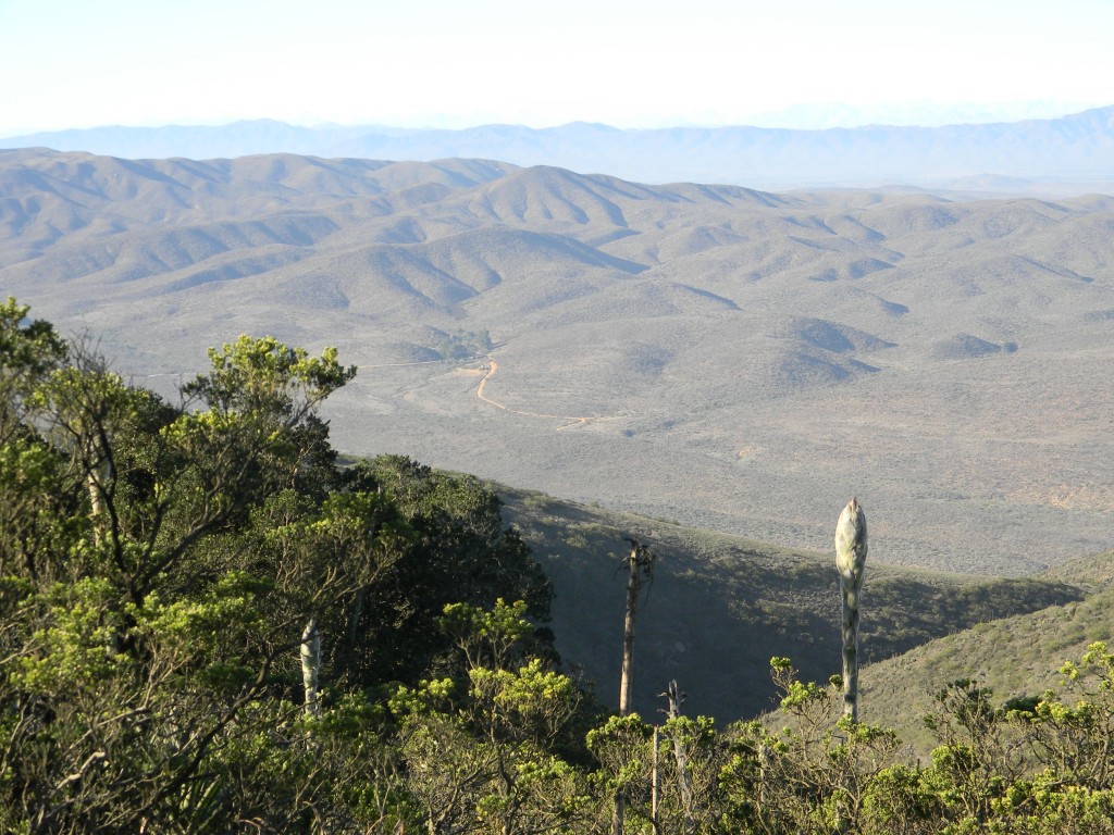 Foto: PANORAMICA - Parque Nacional Fray Jorge (Coquimbo), Chile