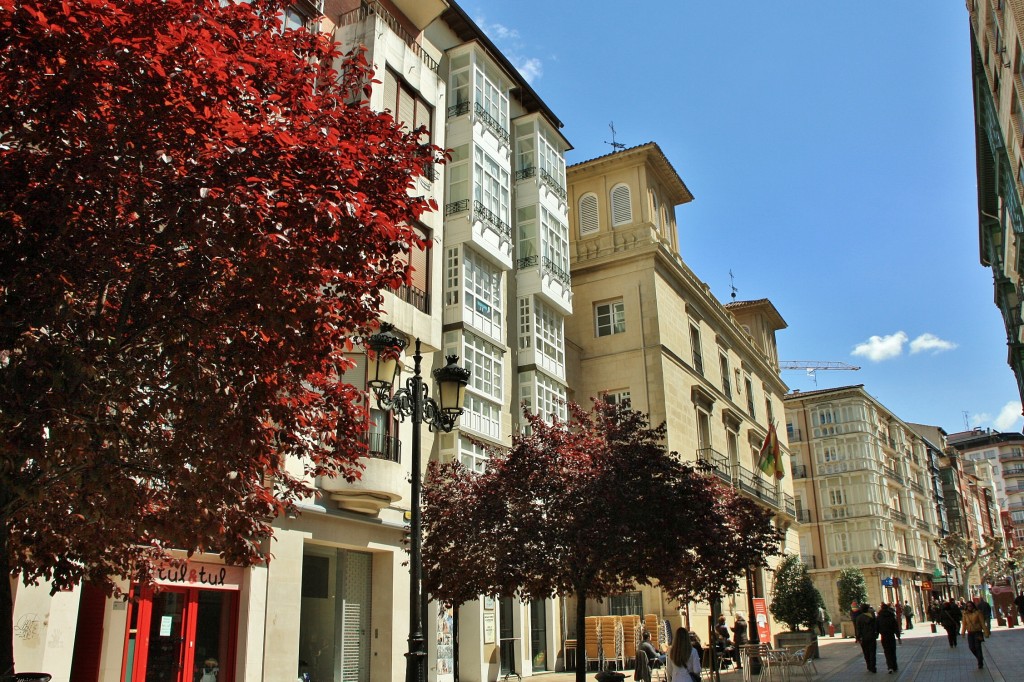 Foto: Calle de Portales - Logroño (La Rioja), España