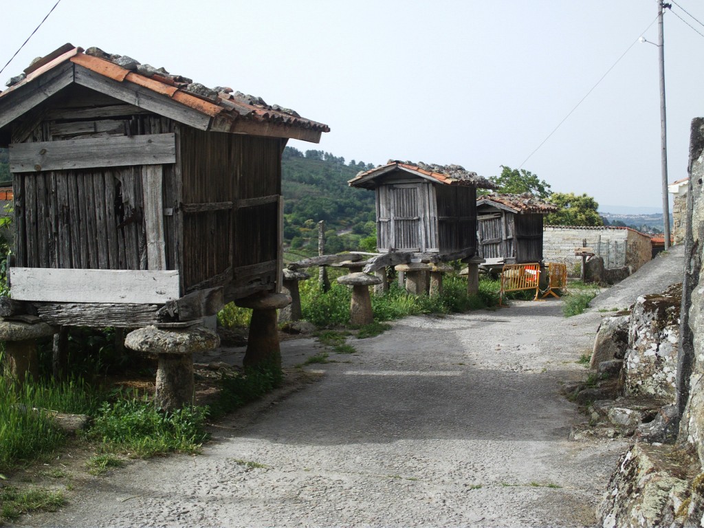 Foto de Vilanova (Ourense), España