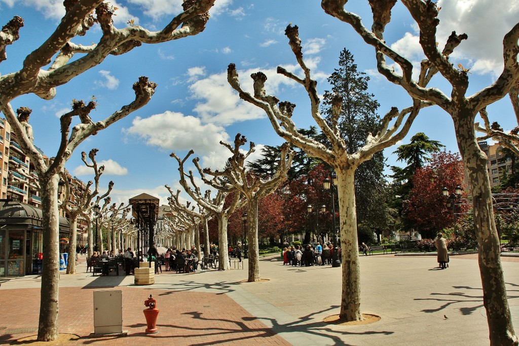 Foto: El Espolón - Logroño (La Rioja), España