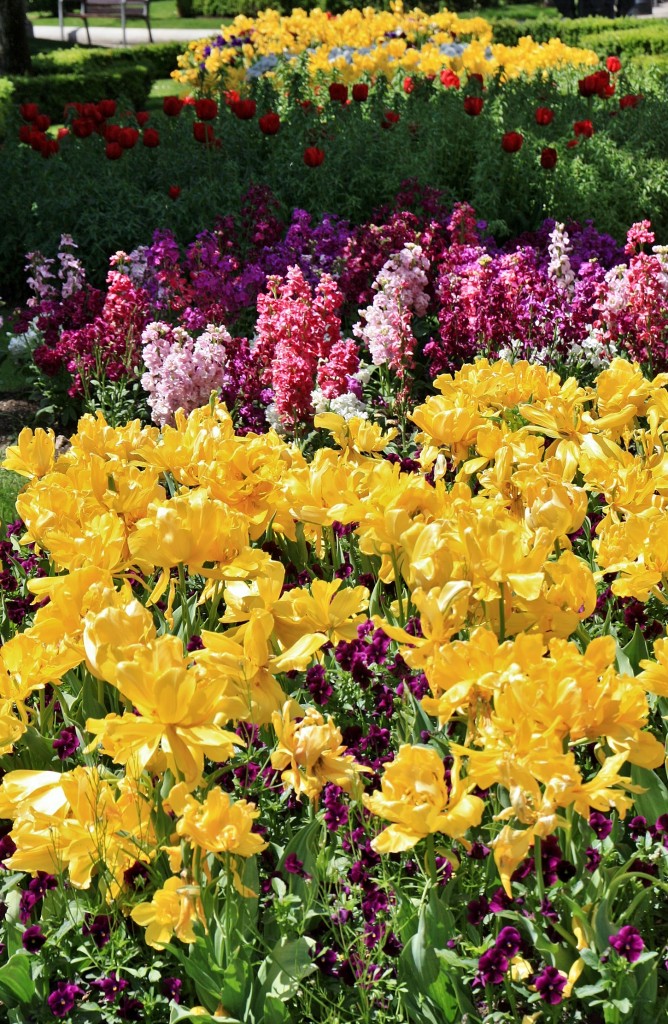 Foto: El Espolón - Logroño (La Rioja), España