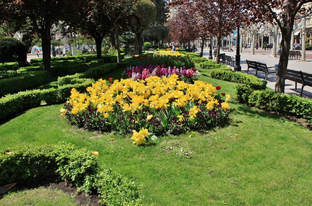 Foto: El Espolón - Logroño (La Rioja), España