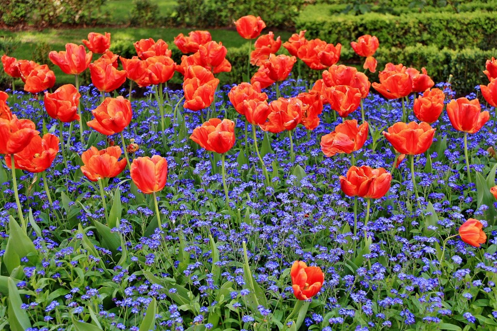 Foto: El Espolón - Logroño (La Rioja), España