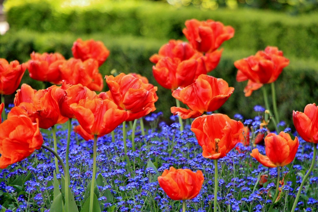 Foto: El Espolón - Logroño (La Rioja), España