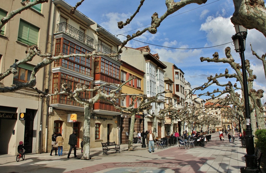 Foto: Centro histórico - Santo Domingo de la Calzada (La Rioja), España
