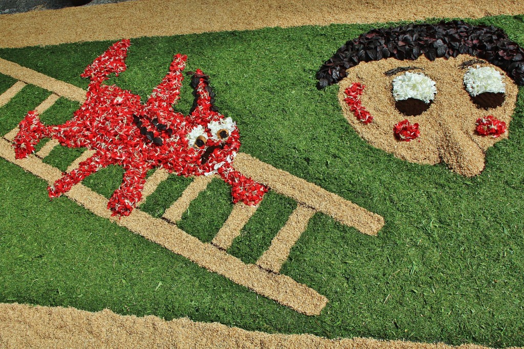 Foto: Alfombras de flores - Sitges (Barcelona), España