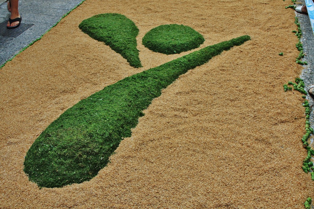 Foto: Alfombras de flores - Sitges (Barcelona), España