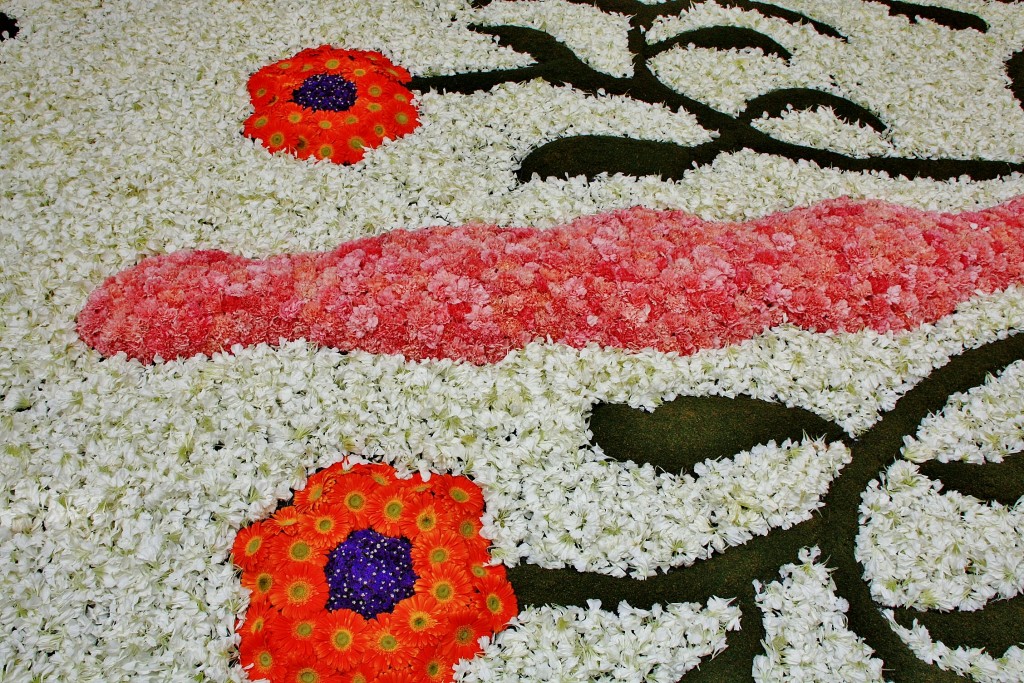 Foto: Alfombras de flores - Sitges (Barcelona), España