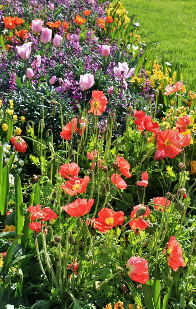 Foto: Un poco de color - Pamplona (Navarra), España