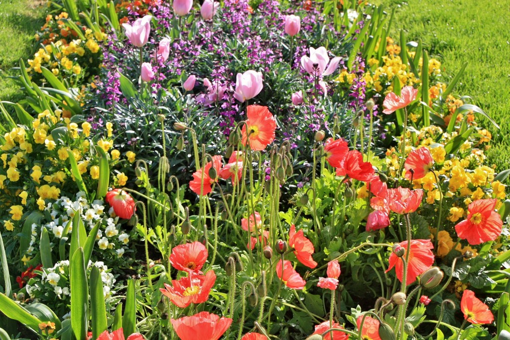 Foto: Un poco de color - Pamplona (Navarra), España