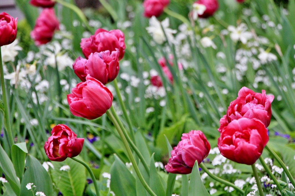 Foto: Un poco de color - Pamplona (Navarra), España