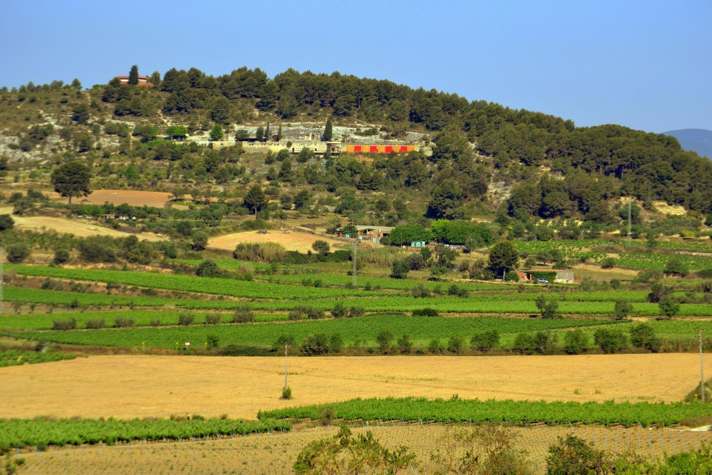 Foto de Vilafranca del Penedes (Barcelona), España