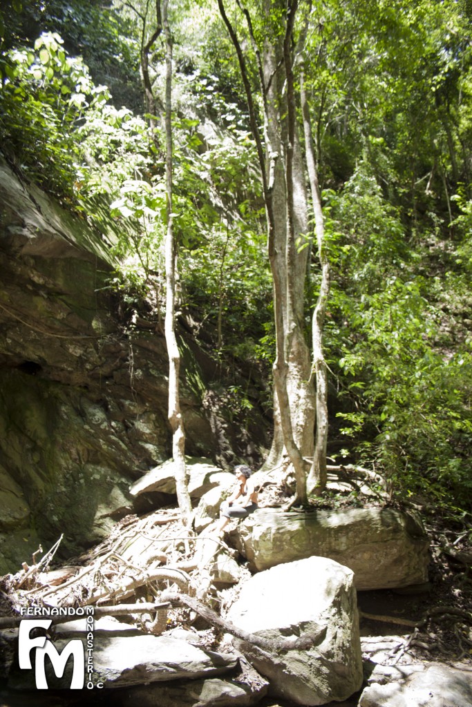 Foto: CASCADA - Parque Nacional El Avila (Distrito Capital), Venezuela