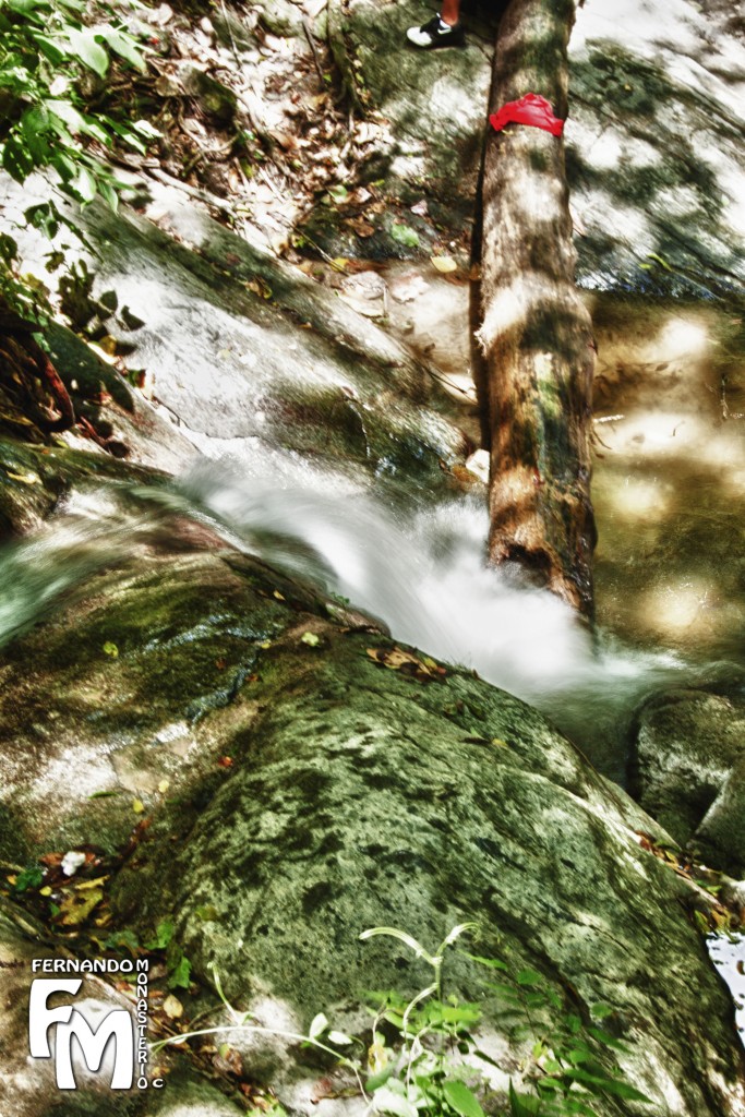 Foto: CASCADA - Parque Nacional El Avila (Distrito Capital), Venezuela